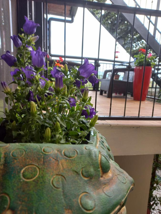 Rancha Azul Inn Alajuela Bagian luar foto