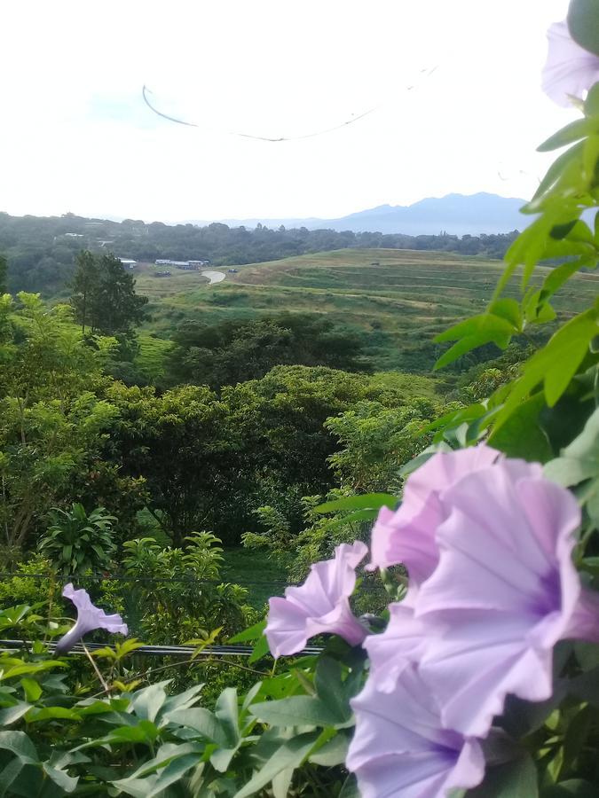 Rancha Azul Inn Alajuela Bagian luar foto